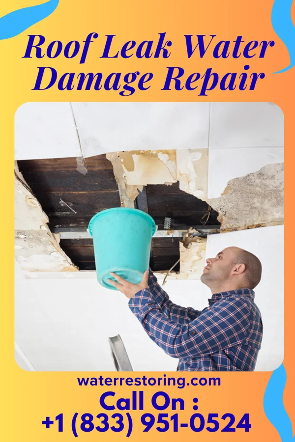Roof Leak Water Damage Repair in West Mineral, KS